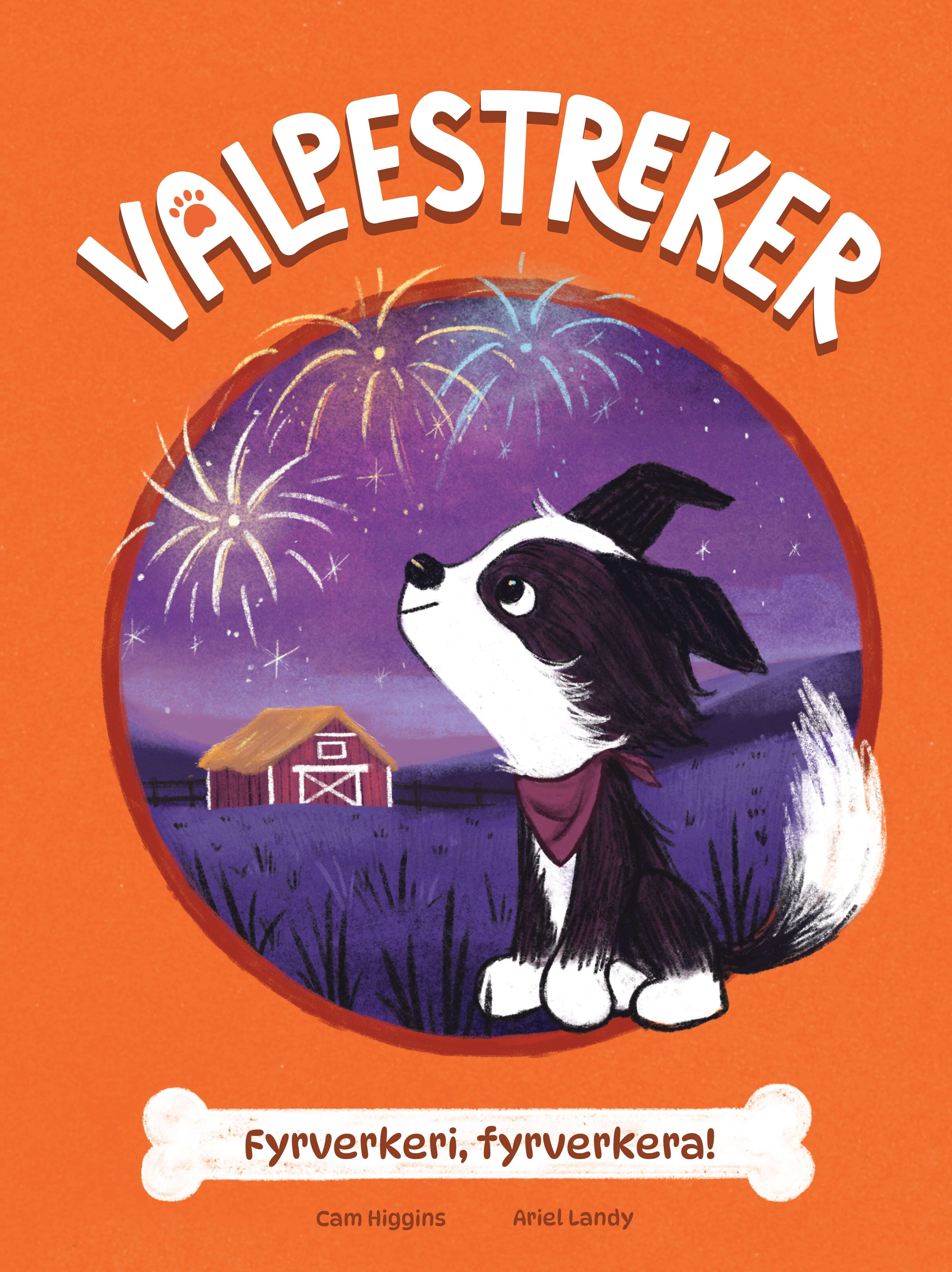 Fyrverkeri, fyrverkera!