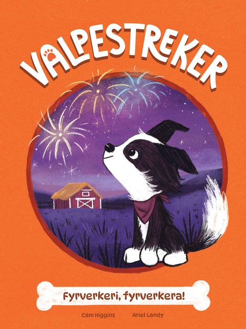 Fyrverkeri, fyrverkera!