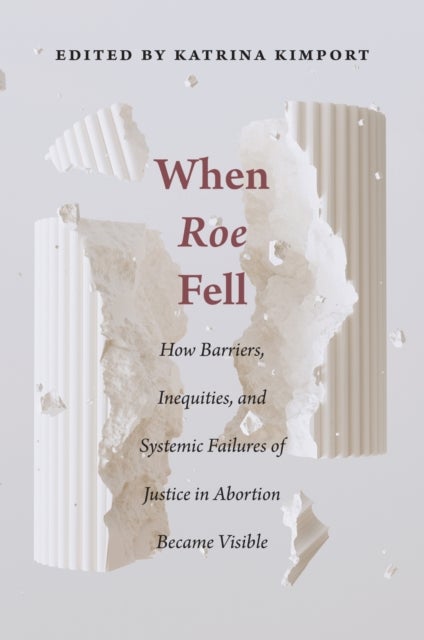When Roe Fell - How Barriers, Inequities, and Systemic Failures of Justice in Abortion Became Visible