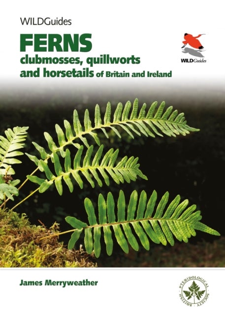Ferns - Clubmosses, Quillworts and Horsetails of Britain and Ireland
