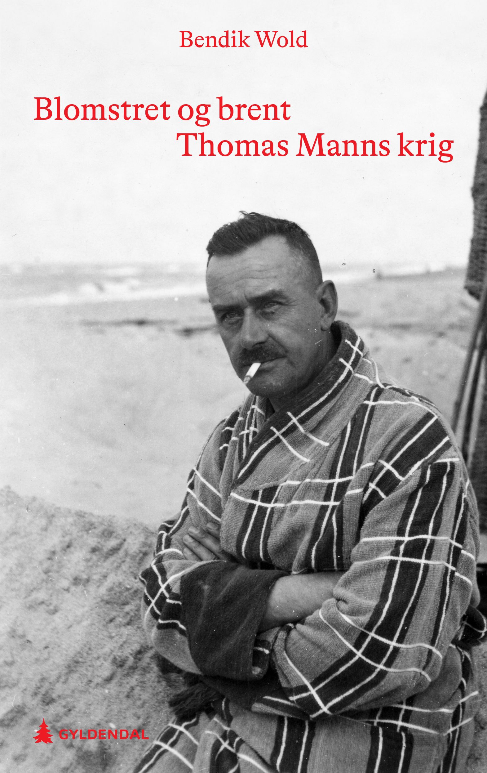 Blomstret og brent - Thomas Manns krig