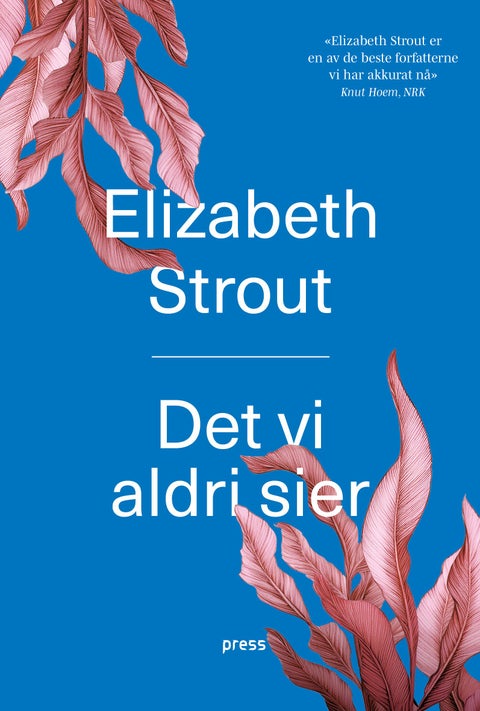 Det vi aldri sier