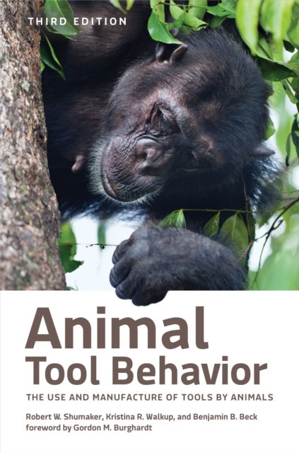 Animal Tool Behavior - The Use and Manufacture of Tools by Animals