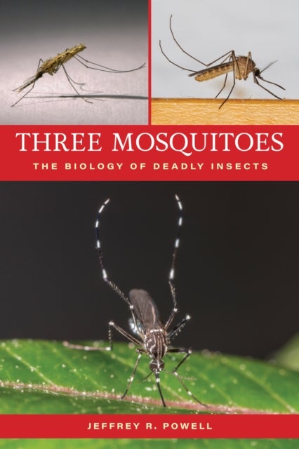 Three Mosquitoes - The Biology of Deadly Insects