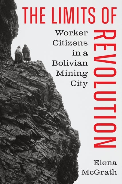 The Limits of Revolution - Worker Citizens in a Bolivian Mining City