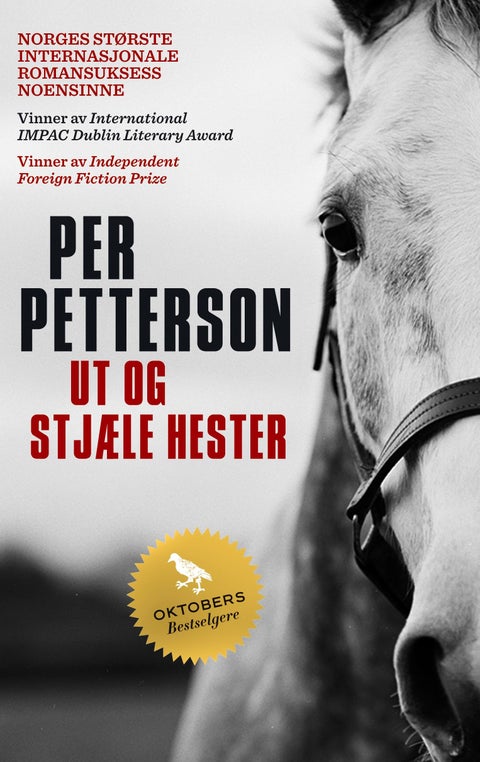 Ut og stjæle hester - roman