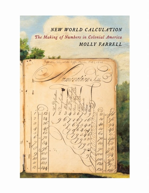New World Calculation - The Making of Numbers in Colonial America