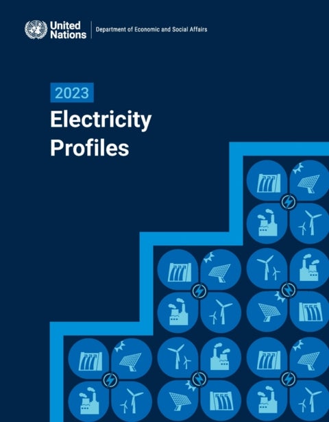 2023 Electricity Profiles