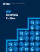 2023 Electricity Profiles