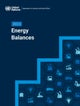 2023 Energy Balances