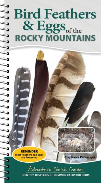 Bird Feathers & Eggs of the Rocky Mountains - Identify 40 Species of Common Backyard Birds