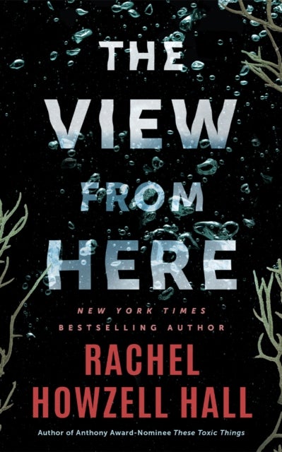 The View from Here - A Thriller