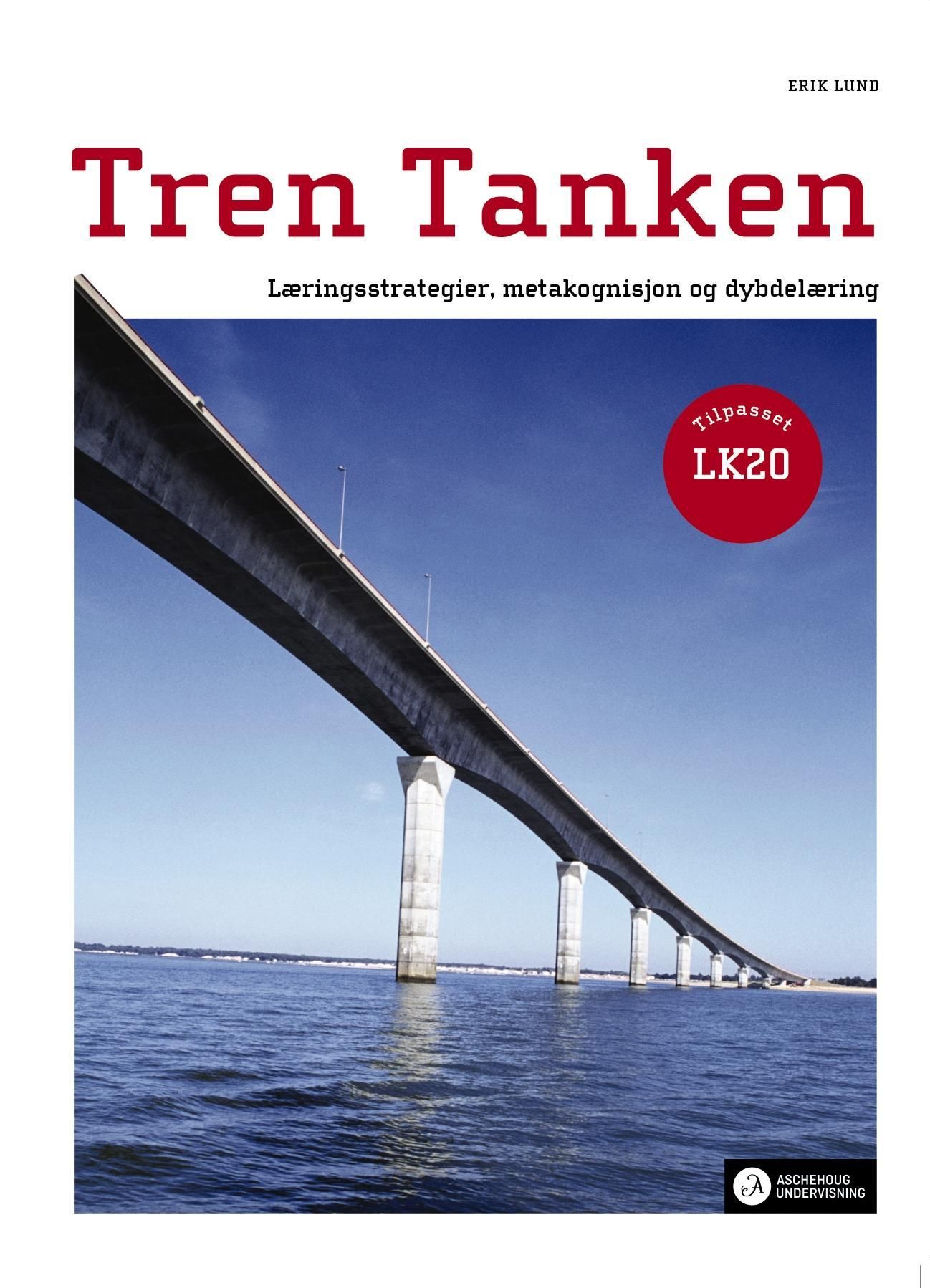 Matriks - tren tanken : læringsstrategier og læringsstiler i samfunnsfag