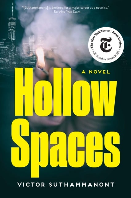 Hollow Spaces - A Novel