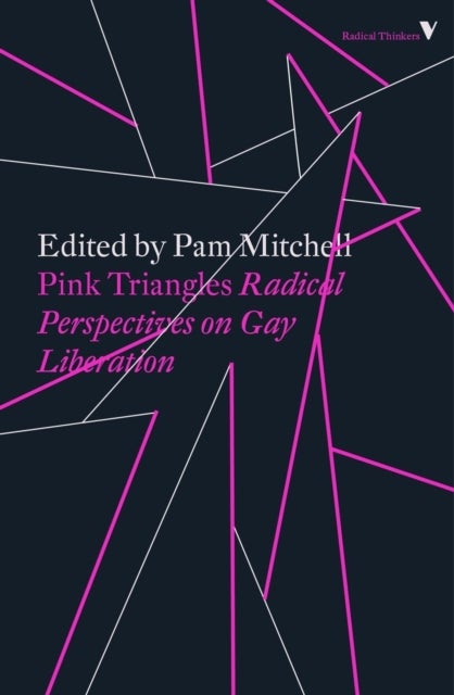 Pink Triangles - Radical Perspectives on Gay Liberation