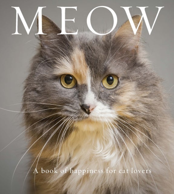 Meow - A Book of Happiness for Cat Lovers
