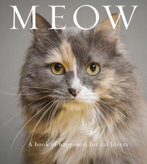 Meow - A Book of Happiness for Cat Lovers
