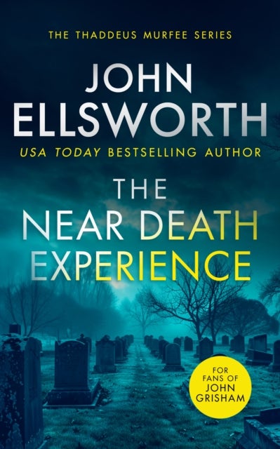 The Near Death Experience - A page-turning legal thriller