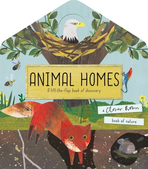 Animal Homes - A lift-the-flap book of discovery