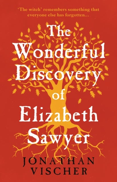 The Wonderful Discovery of Elizabeth Sawyer