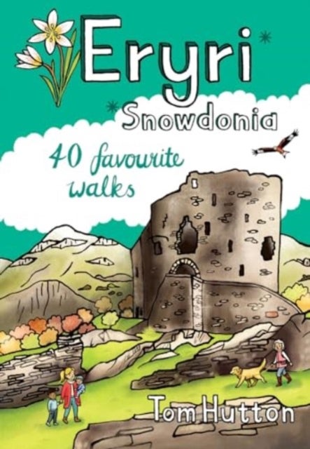 Eryri / Snowdonia Pocket Mountains - 40 Favourite Walks