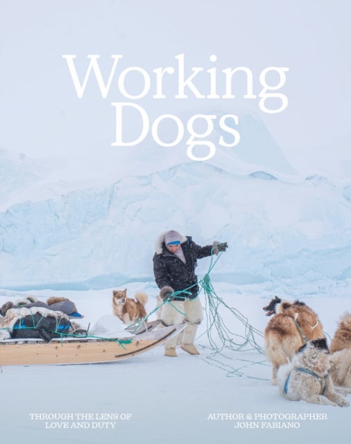 Working Dogs - Through the lens of love and duty