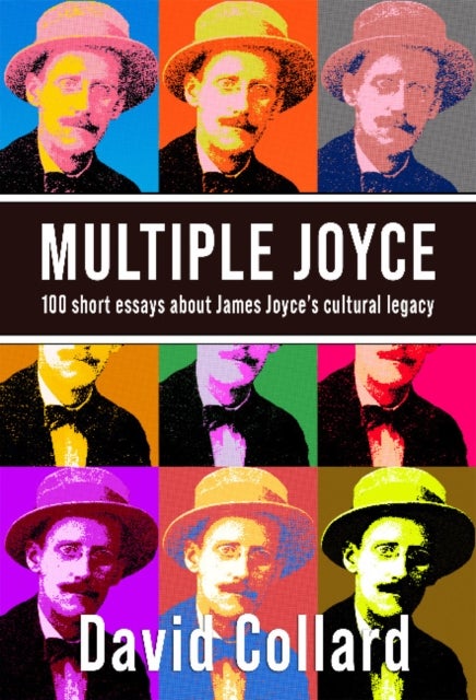 Multiple Joyce - 100 Short Essays About James Joyce's Cultural Legacy