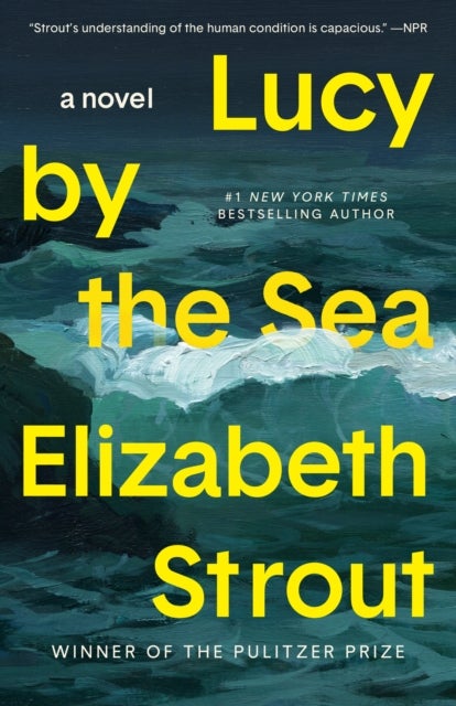 Lucy by the Sea - A Novel