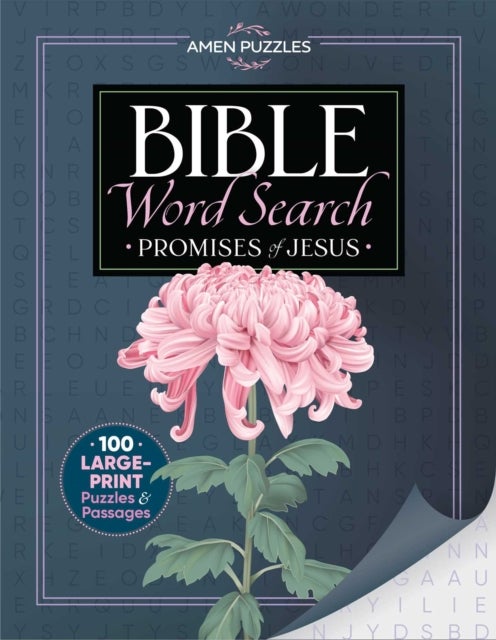 Amen Puzzles Bible Word Search - Promises of Jesus