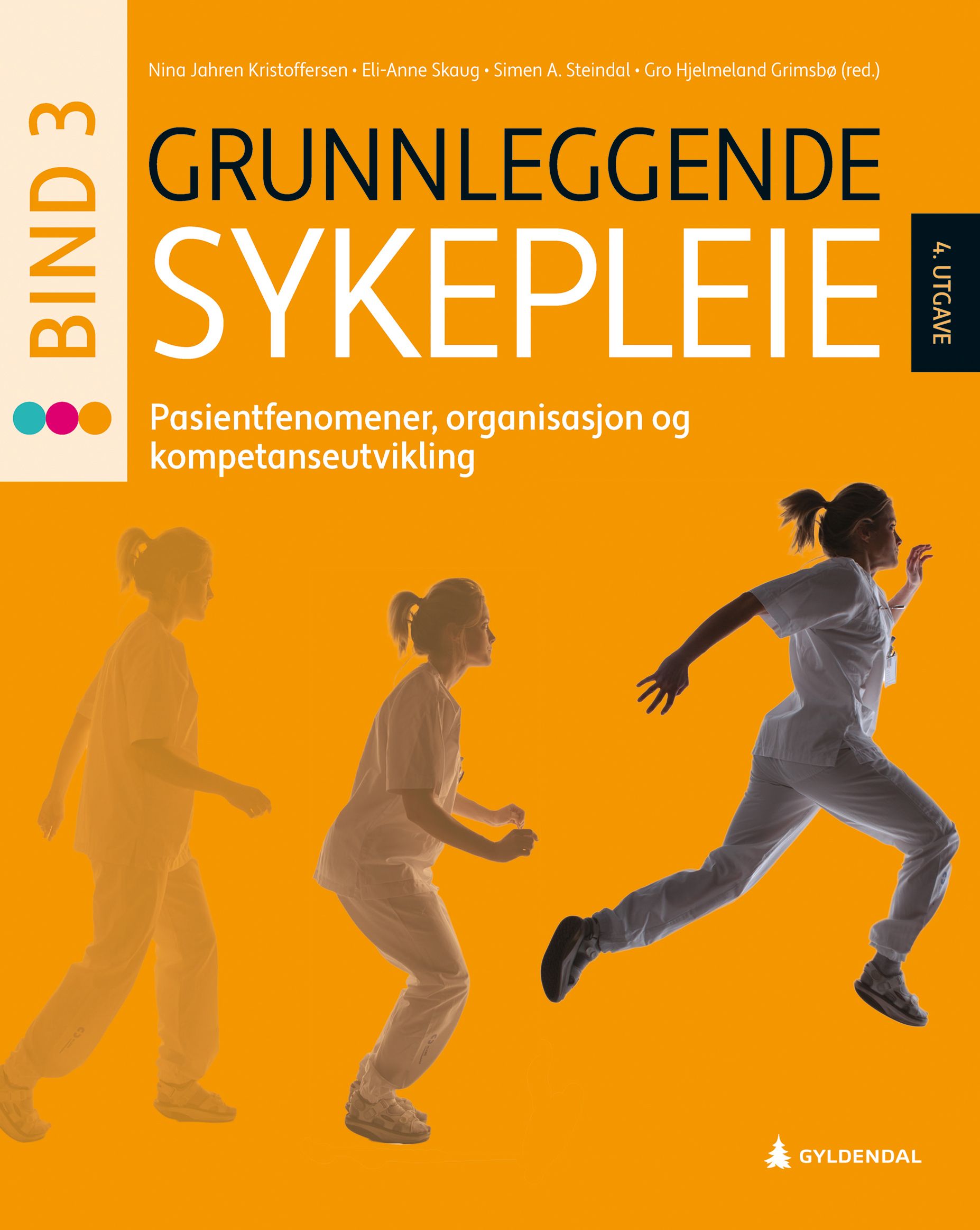 Grunnleggende sykepleie 3 - pasientfenomener, organisasjon og kompetanseutvikling