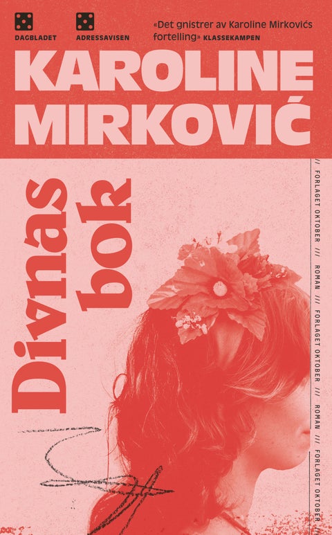 Divnas bok - roman