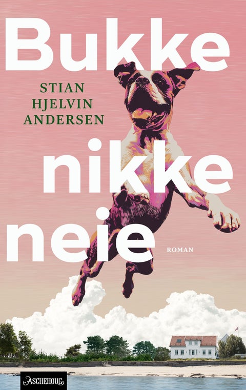 Bukke nikke neie