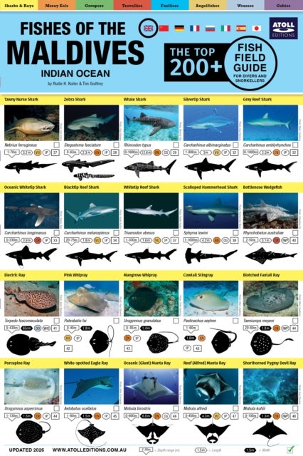 Maldives Fish Field Guide 'Top 200+'