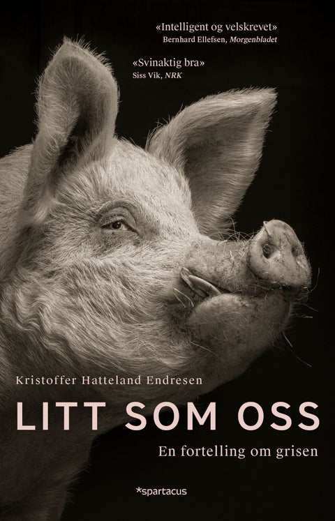 Litt som oss - en fortelling om grisen