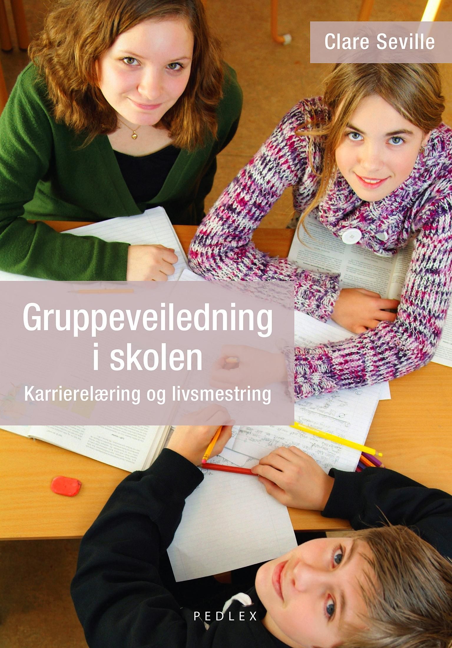 Gruppeveiledning i skolen - karrierelæring og livsmestring