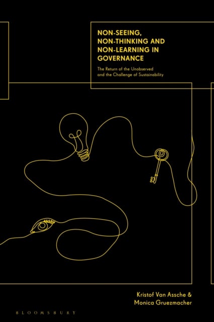 Non-seeing, Non-thinking and Non-learning in Governance - The Return of the Unobserved and the Challenge of Sustainability