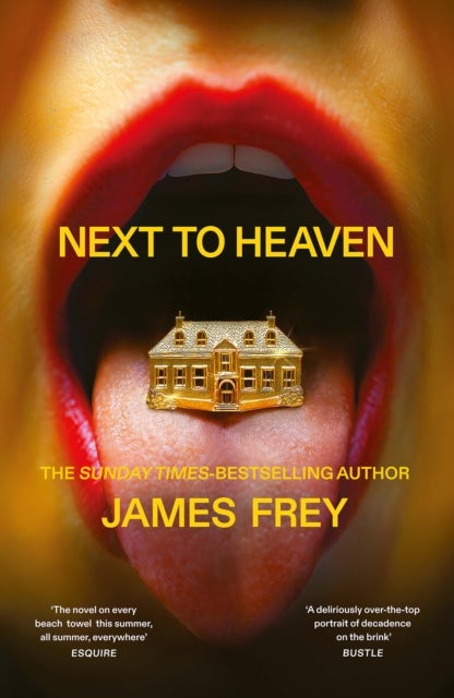 Next to Heaven - The PROVOCATIVE new novel from BESTSELLING author of A Million Little Pieces