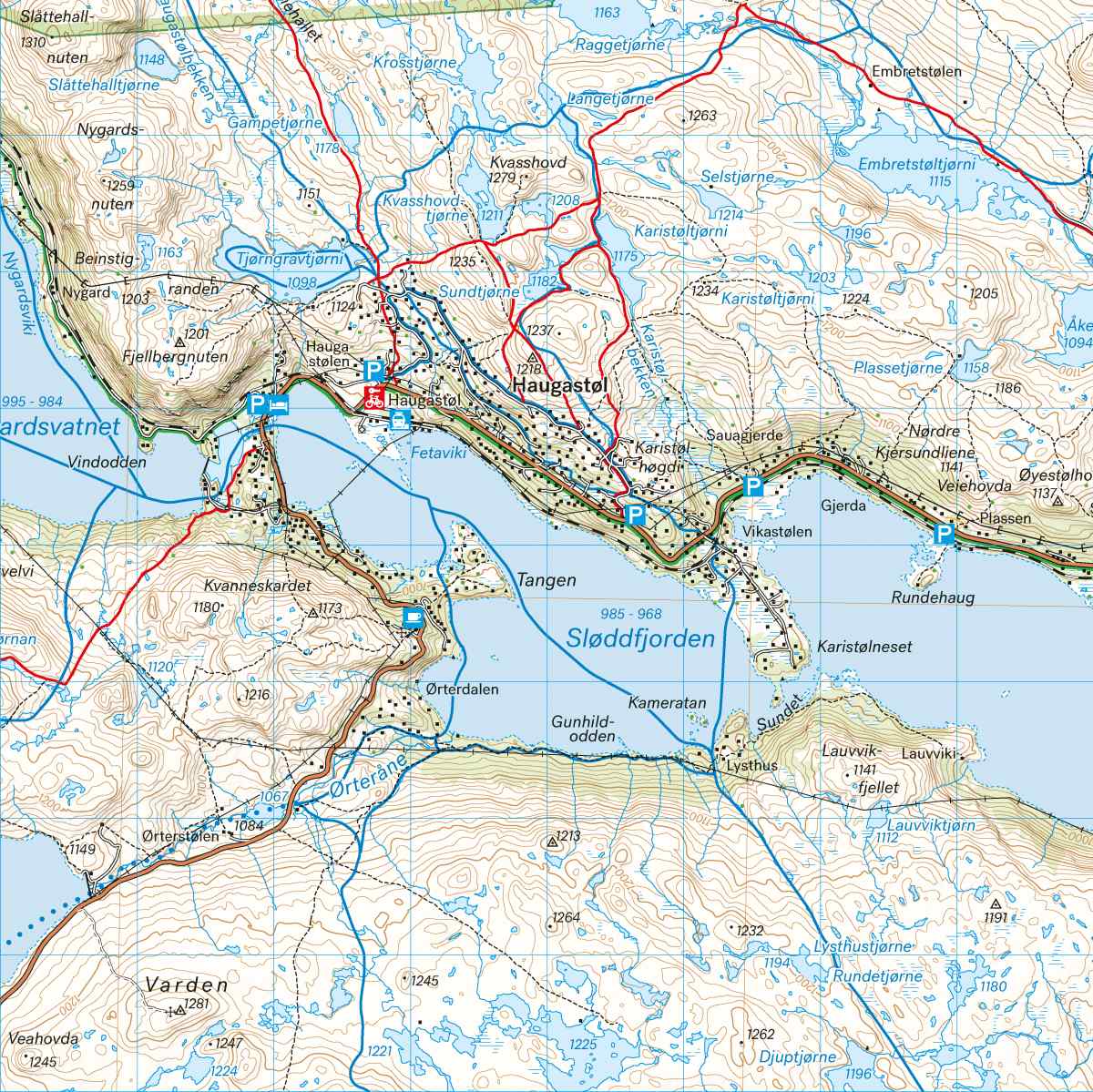 Hardangervidda nord