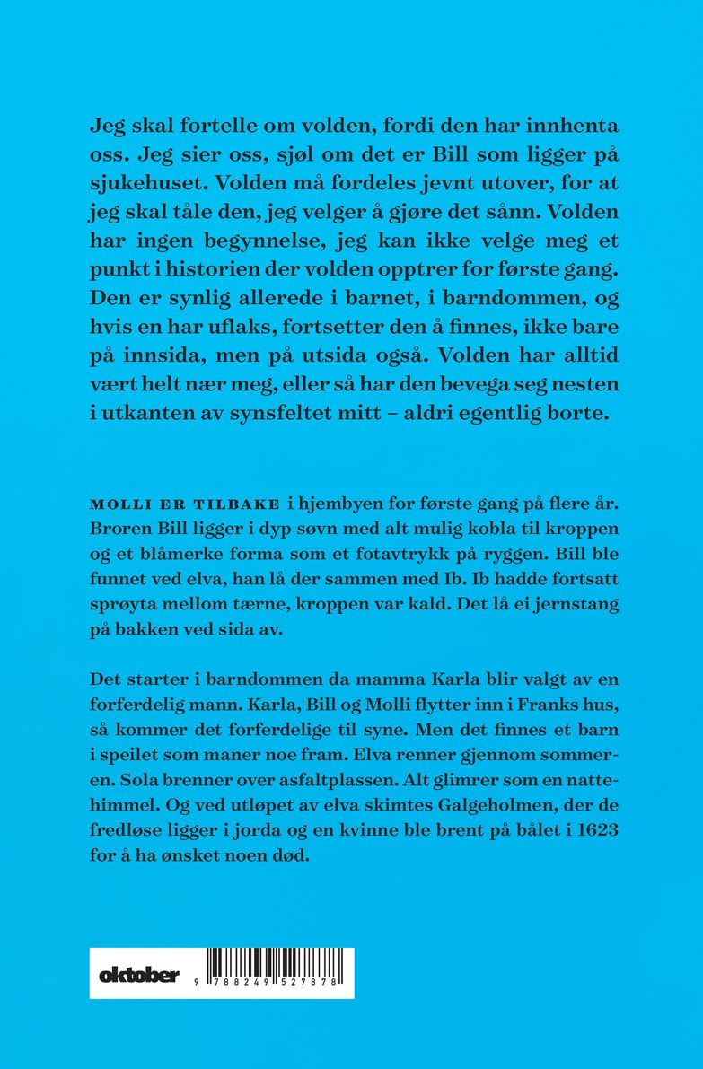 Det tolvte huset