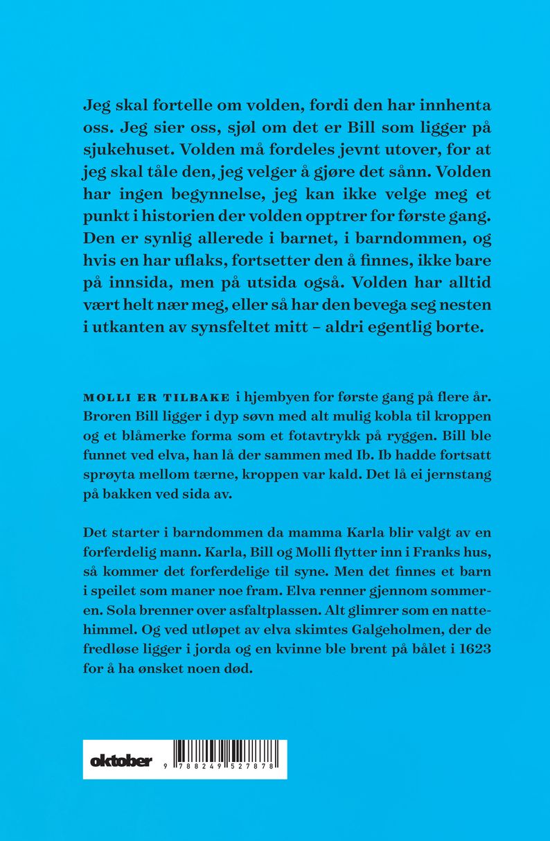 Det tolvte huset