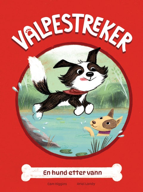 En hund etter vann