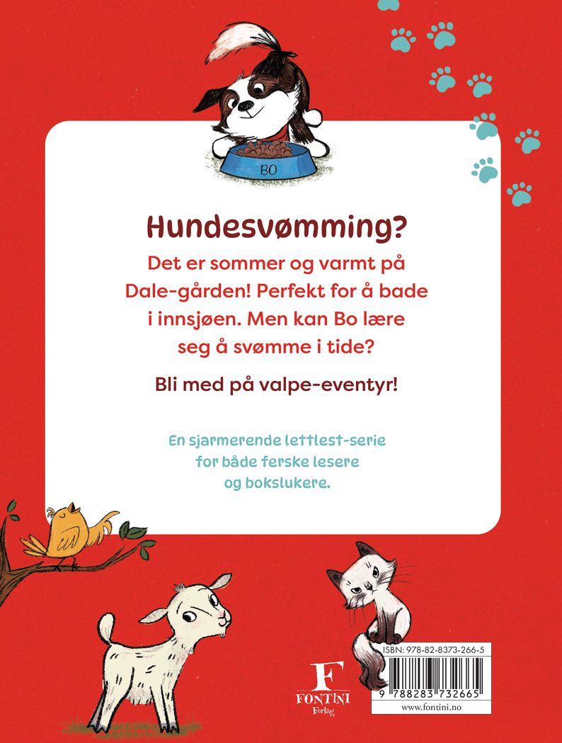 En hund etter vann