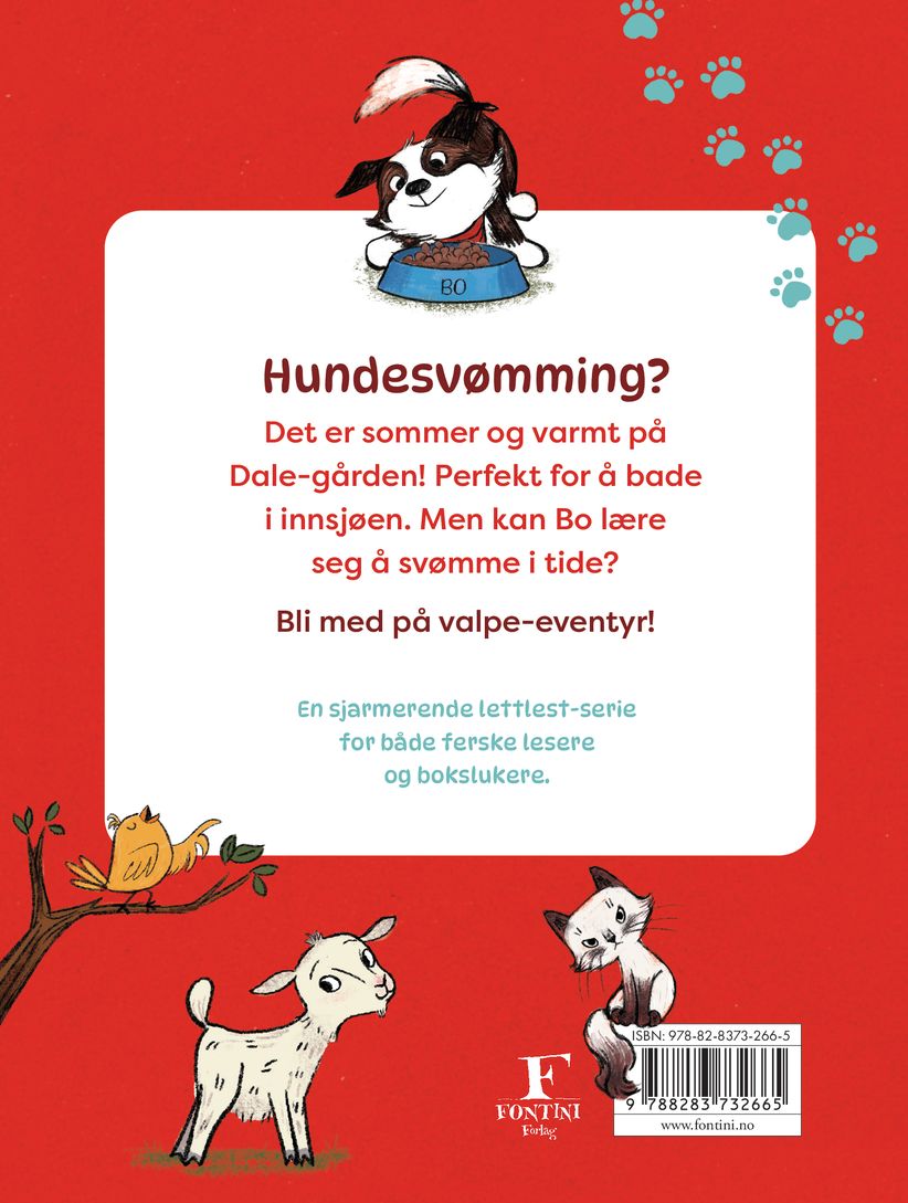En hund etter vann