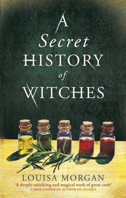 A Secret History of Witches - The spellbinding historical saga of love and magic
