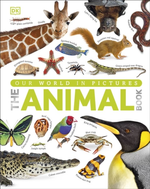 Our World in Pictures The Animal Book - A Visual Encyclopedia of Life on Earth