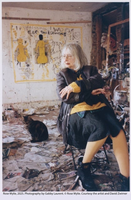 Rose Wylie - The Picture Comes First