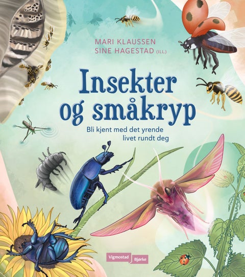 Insekter og småkryp - bli kjent med det yrende livet rundt deg