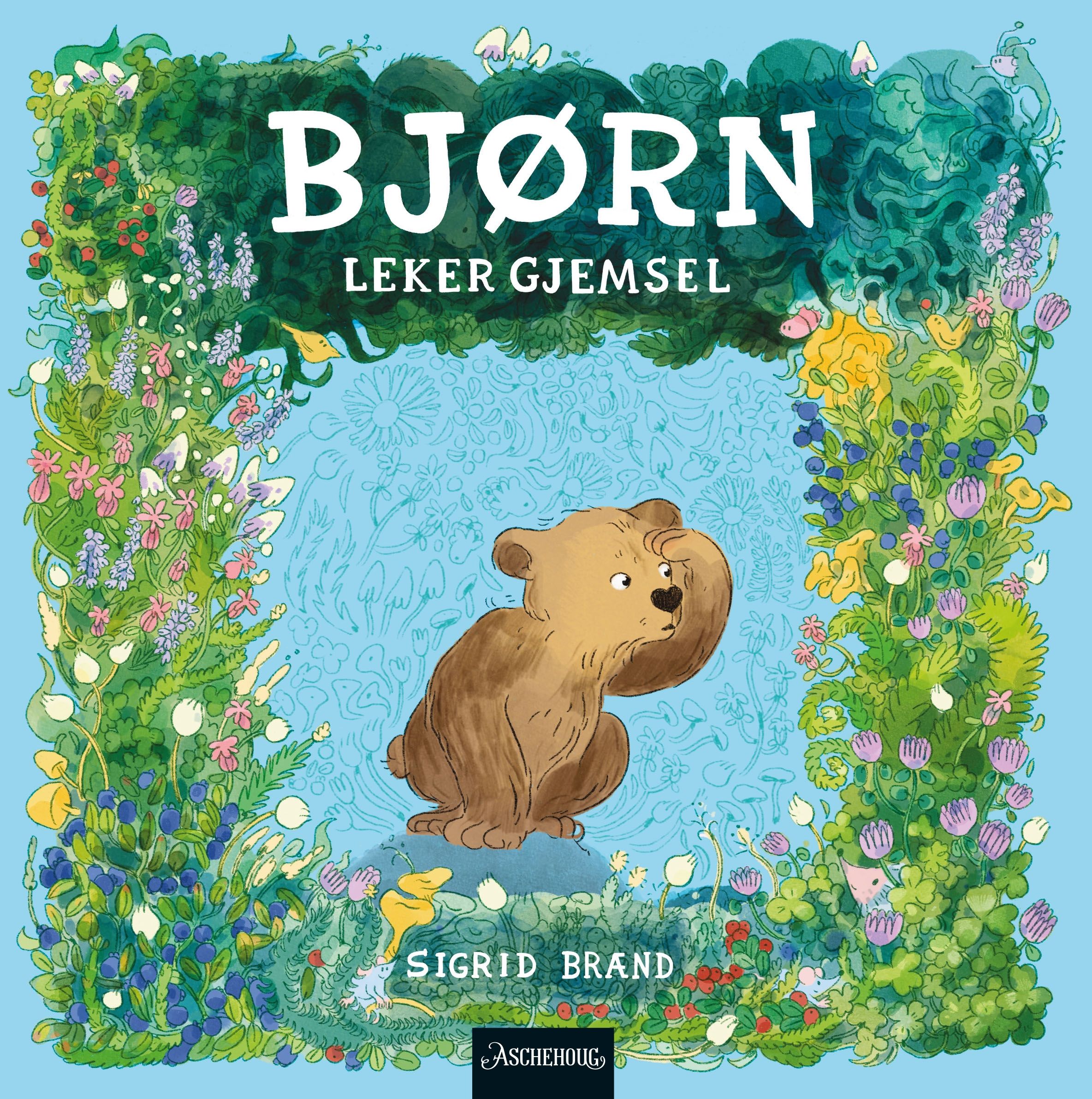 Bjørn leker gjemsel