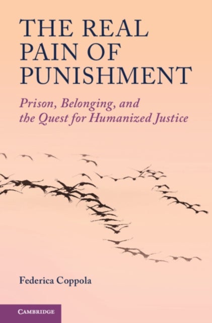 The Real Pain of Punishment - Prison, Belonging, and the Quest for Humanized Justice