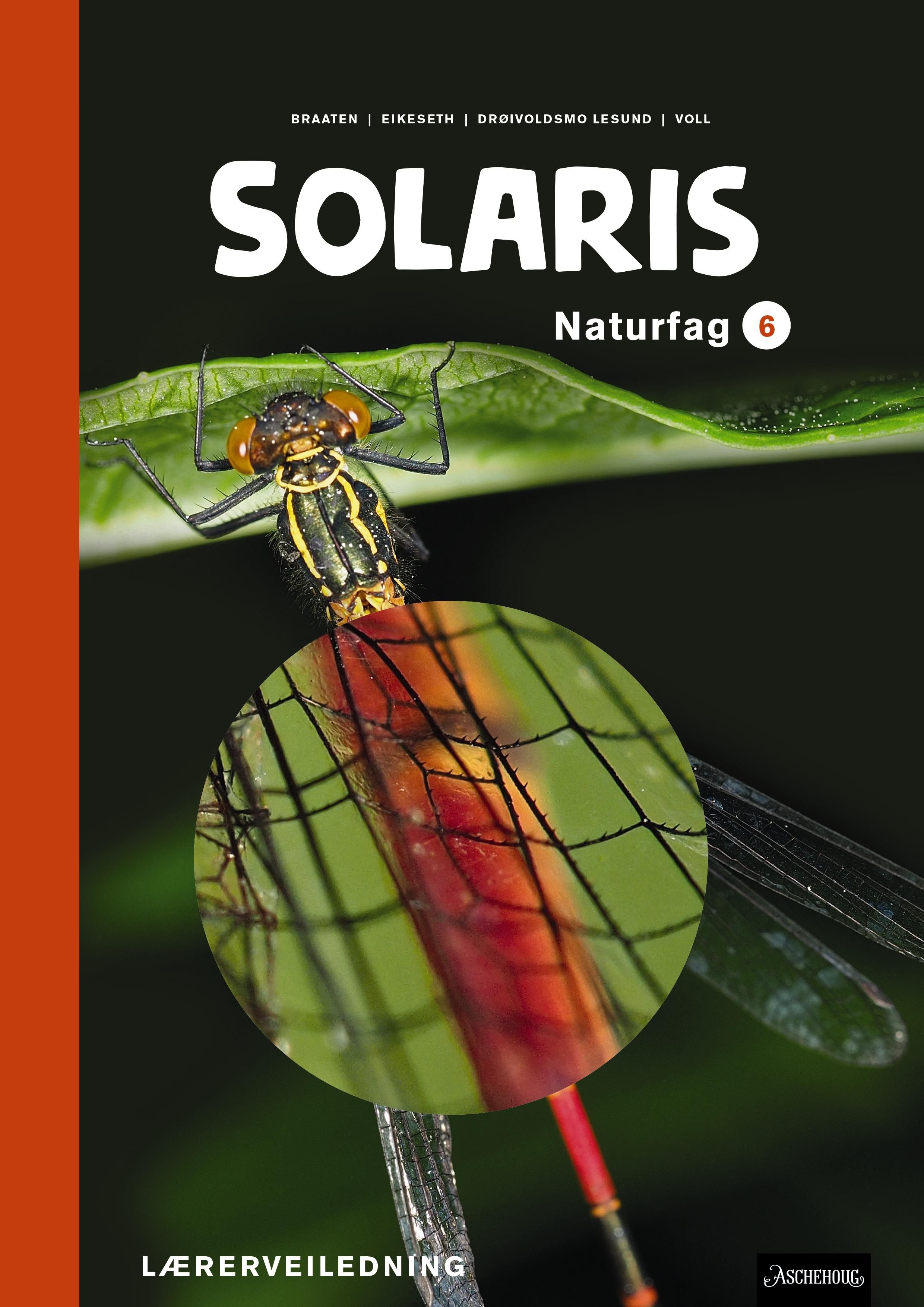 Solaris - Lærerveiledning : naturfag 6